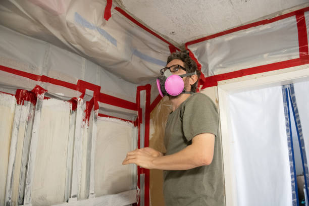  , USA Mold Removal Pros